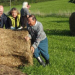 Solawi: Was ist das und wie fängt man es an?