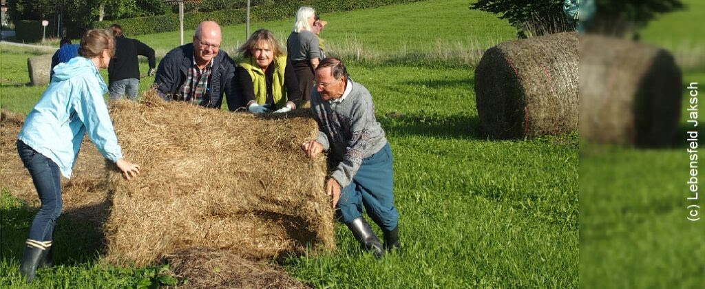 Solawi: Was ist das und wie fängt man es an?